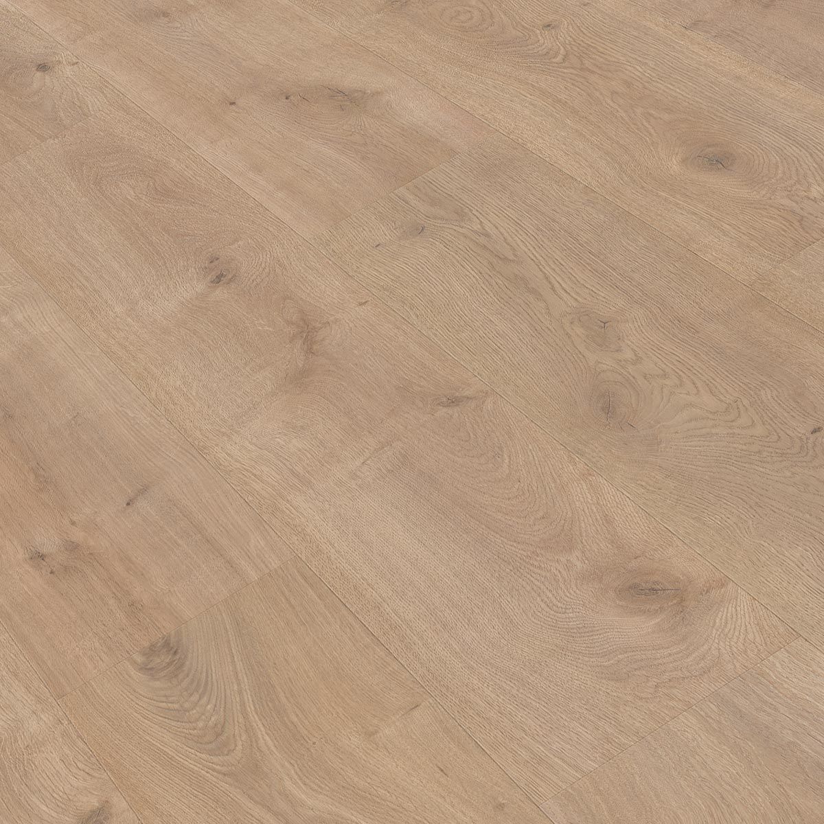 Gold PRO800 GRAN REAL mV4 - PROG06 ROBLE TOKIO