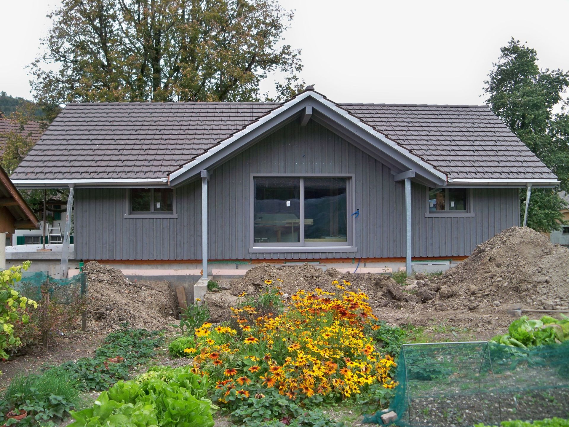 Bachmann Sägerei AG