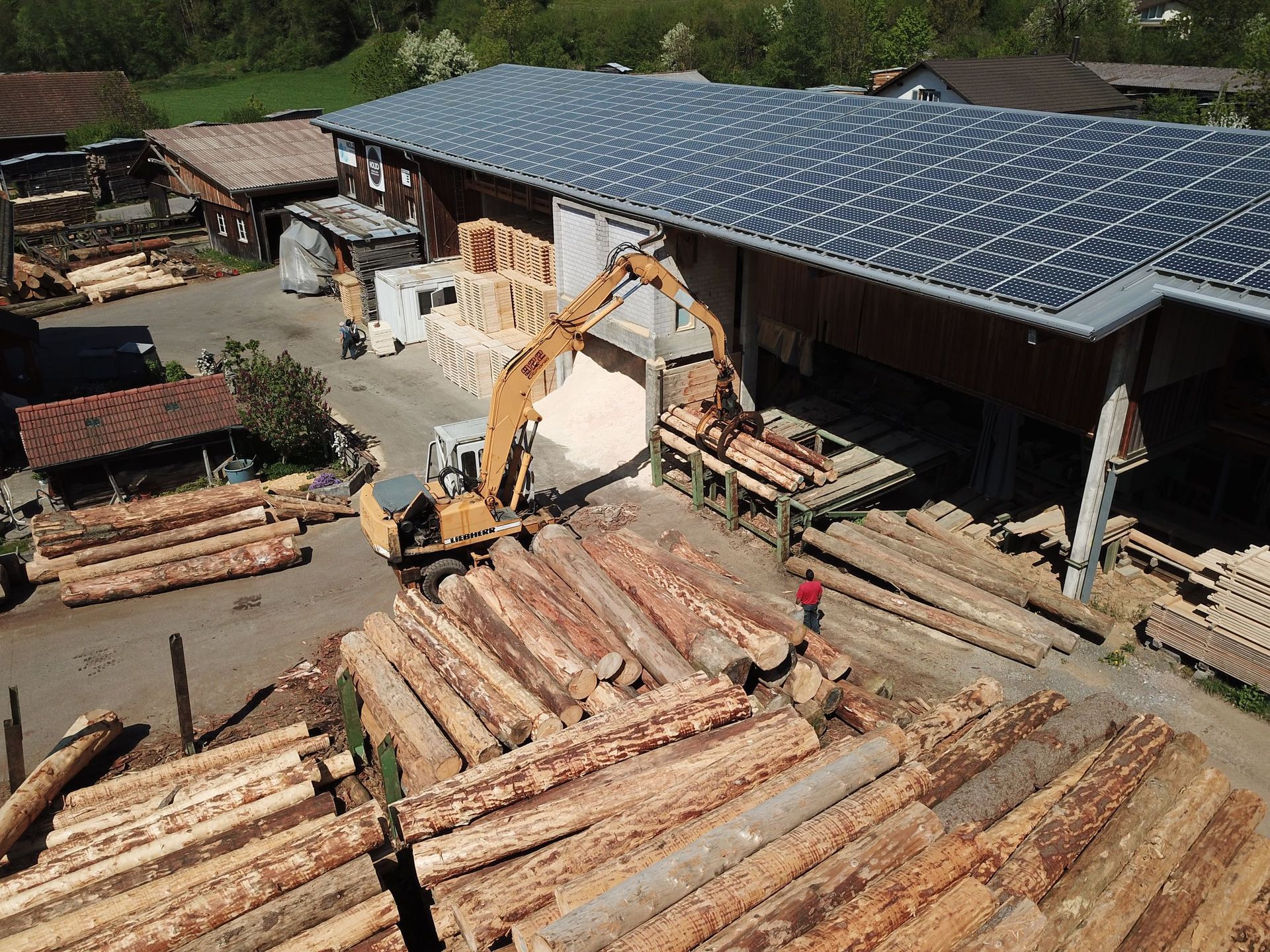 Bachmann Sägerei AG