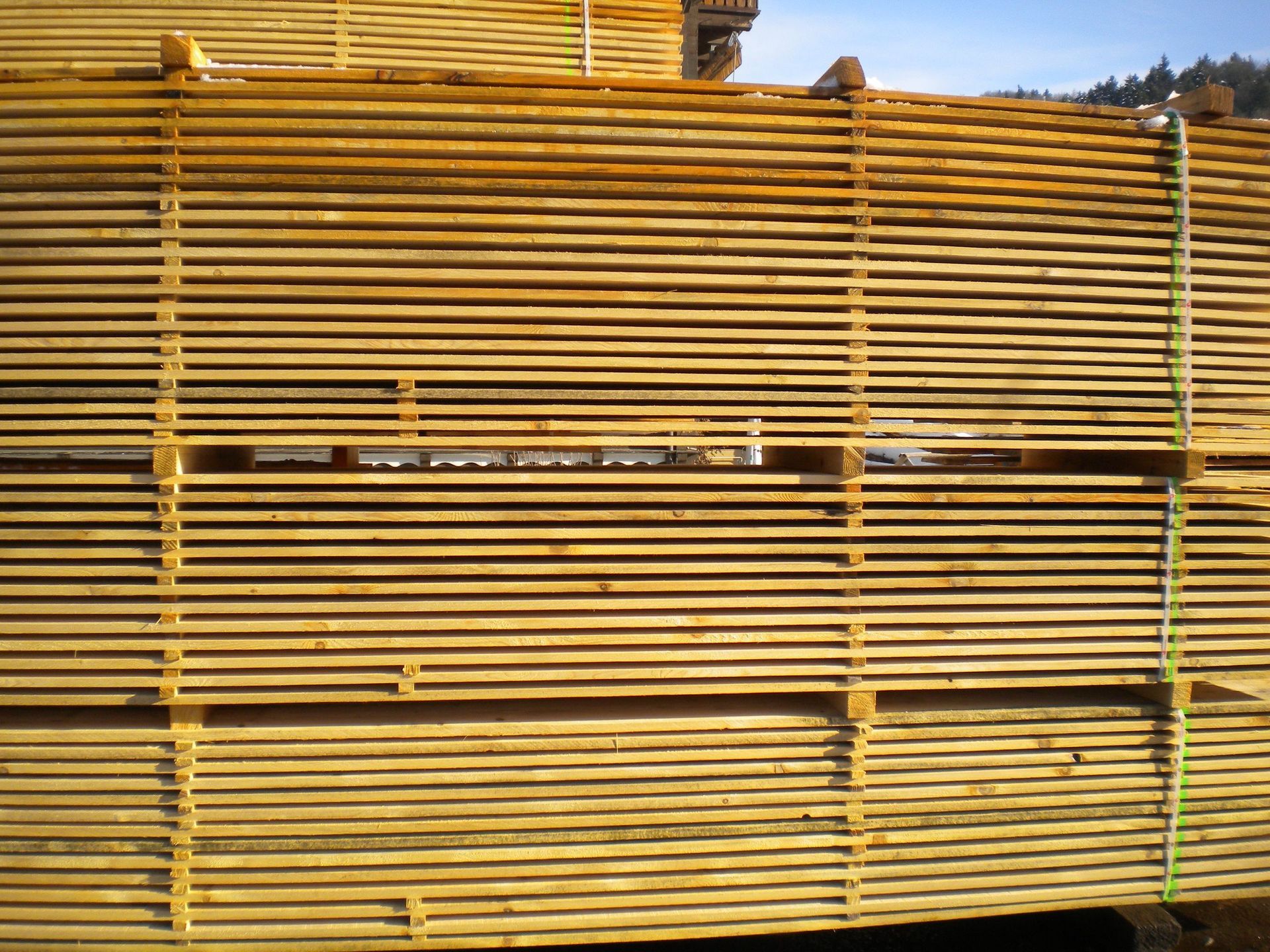 Bachmann Sägerei AG