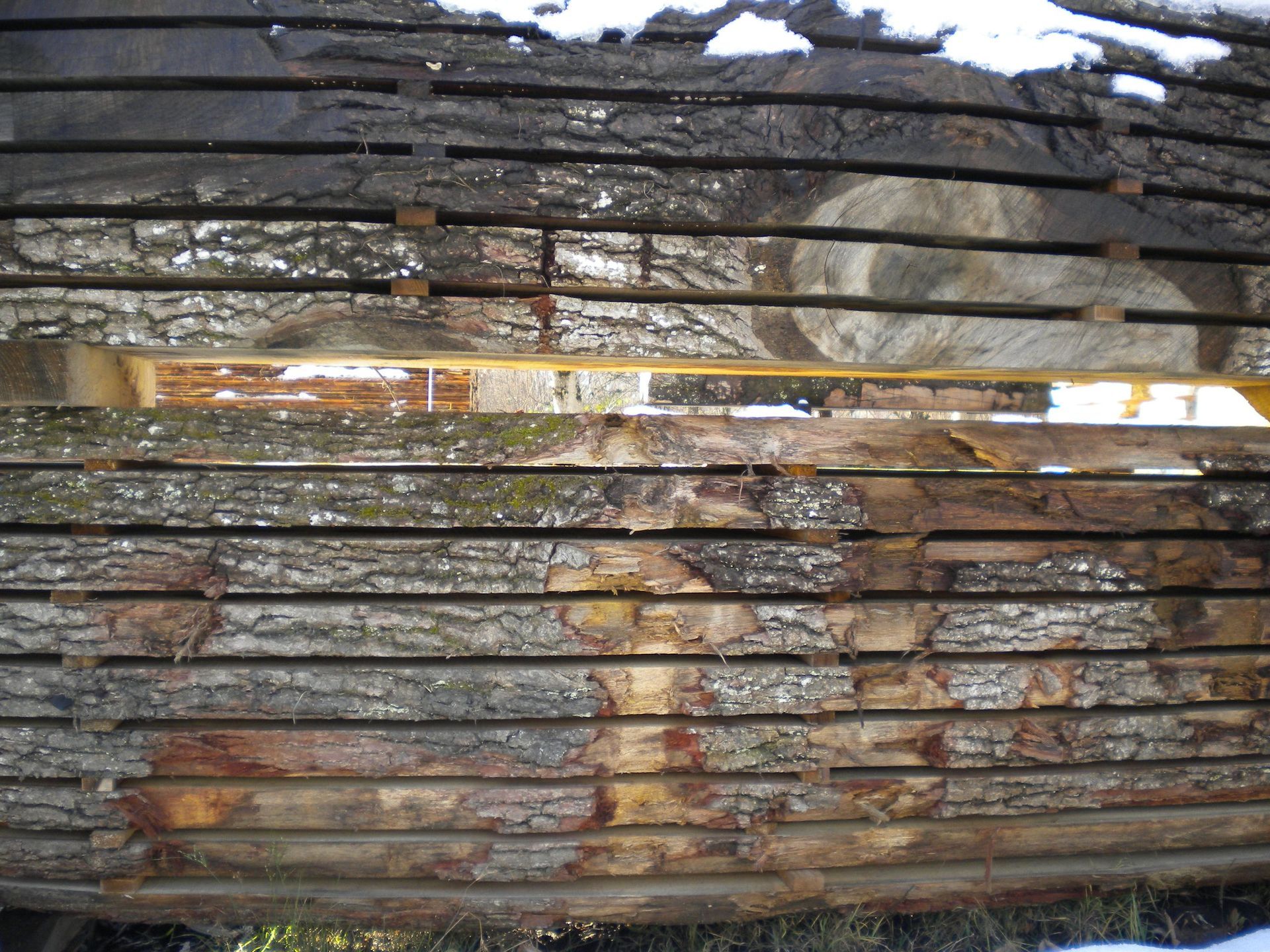 Bachmann Sägerei AG