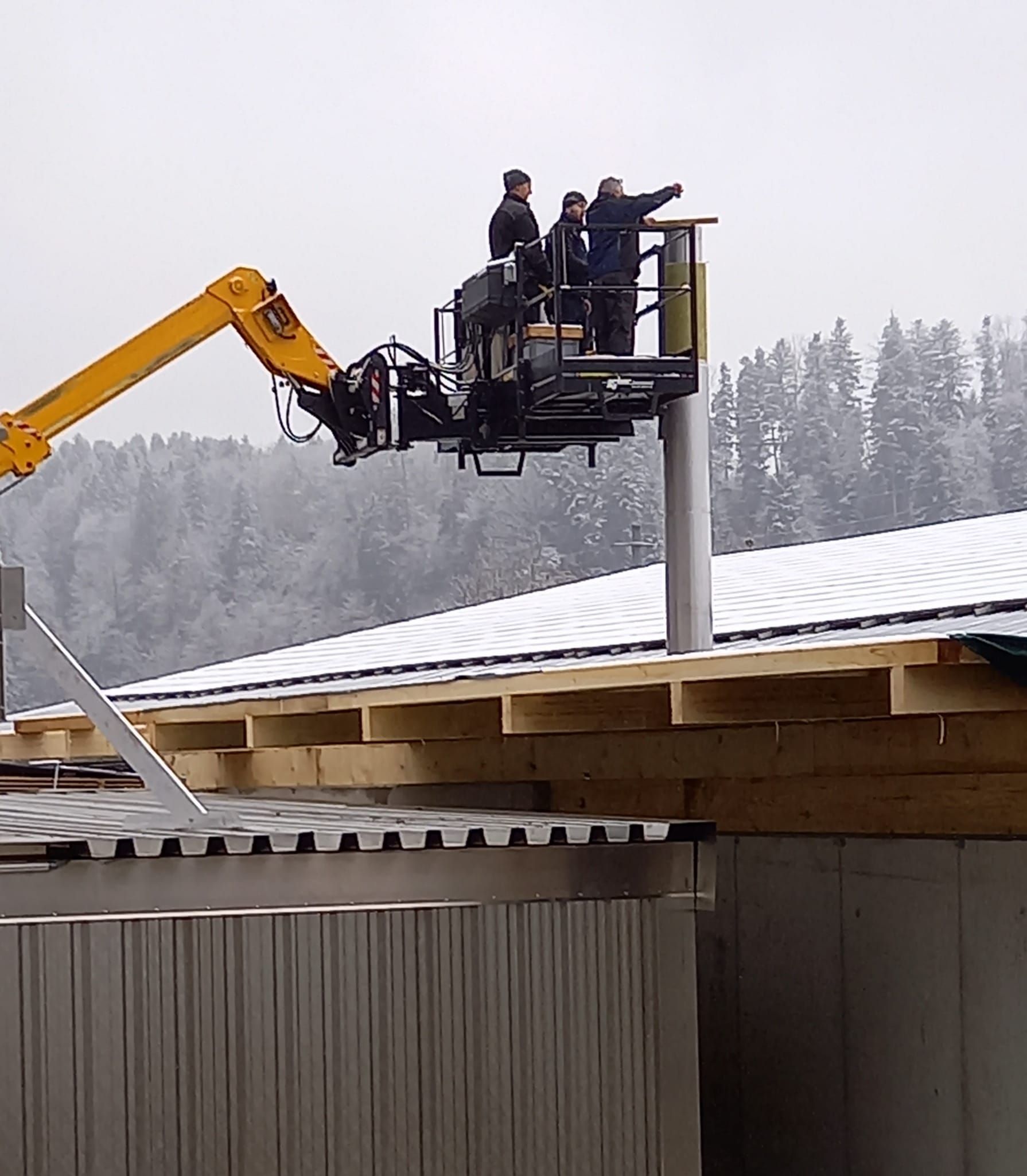 Bachmann Sägerei AG