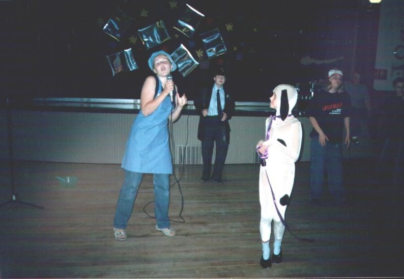 Kansainvälinen kulttuuriseura Mira ry