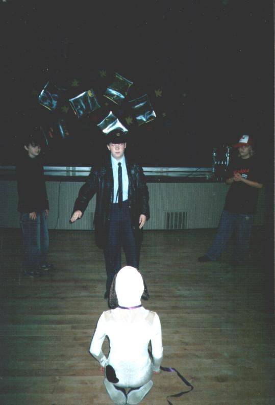 Kansainvälinen kulttuuriseura Mira ry