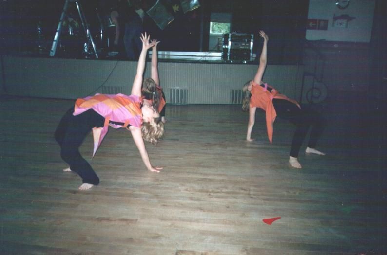 Kansainvälinen kulttuuriseura Mira ry