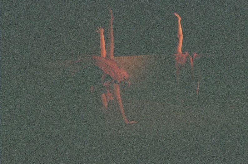 Kansainvälinen kulttuuriseura Mira ry