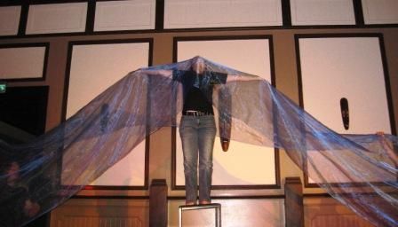 Kansainvälinen kulttuuriseura Mira ry