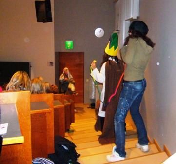 Kansainvälinen kulttuuriseura Mira ry