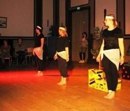 Kansainvälinen kulttuuriseura Mira ry