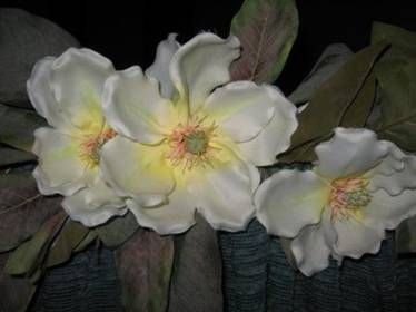 Kansainvälinen kulttuuriseura Mira ry