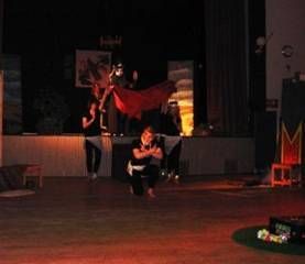 Kansainvälinen kulttuuriseura Mira ry