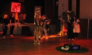 Kansainvälinen kulttuuriseura Mira ry