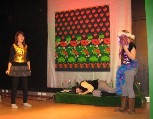 Kansainvälinen kulttuuriseura Mira ry