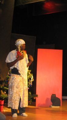 Kansainvälinen kulttuuriseura Mira ry