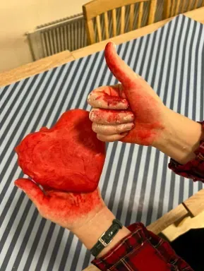 Kansainvälinen kulttuuriseura Mira ry