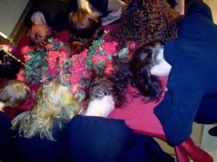 Kansainvälinen kulttuurisKansainvälinen kulttuuriseura Mira ryeura Mira ry