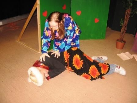 Kansainvälinen kulttuuriseura Mira ry