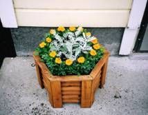 Kansainvälinen kulttuuriseura Mira ry