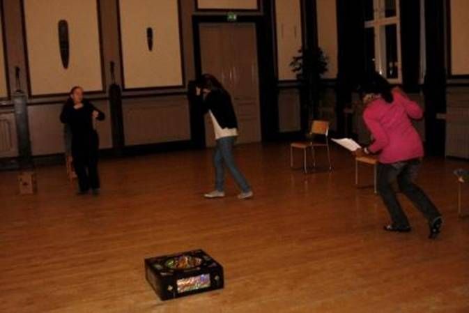 Kansainvälinen kulttuuriseura Mira ry