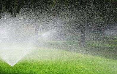 Un aspersor está rociando agua sobre un césped verde y exuberante.