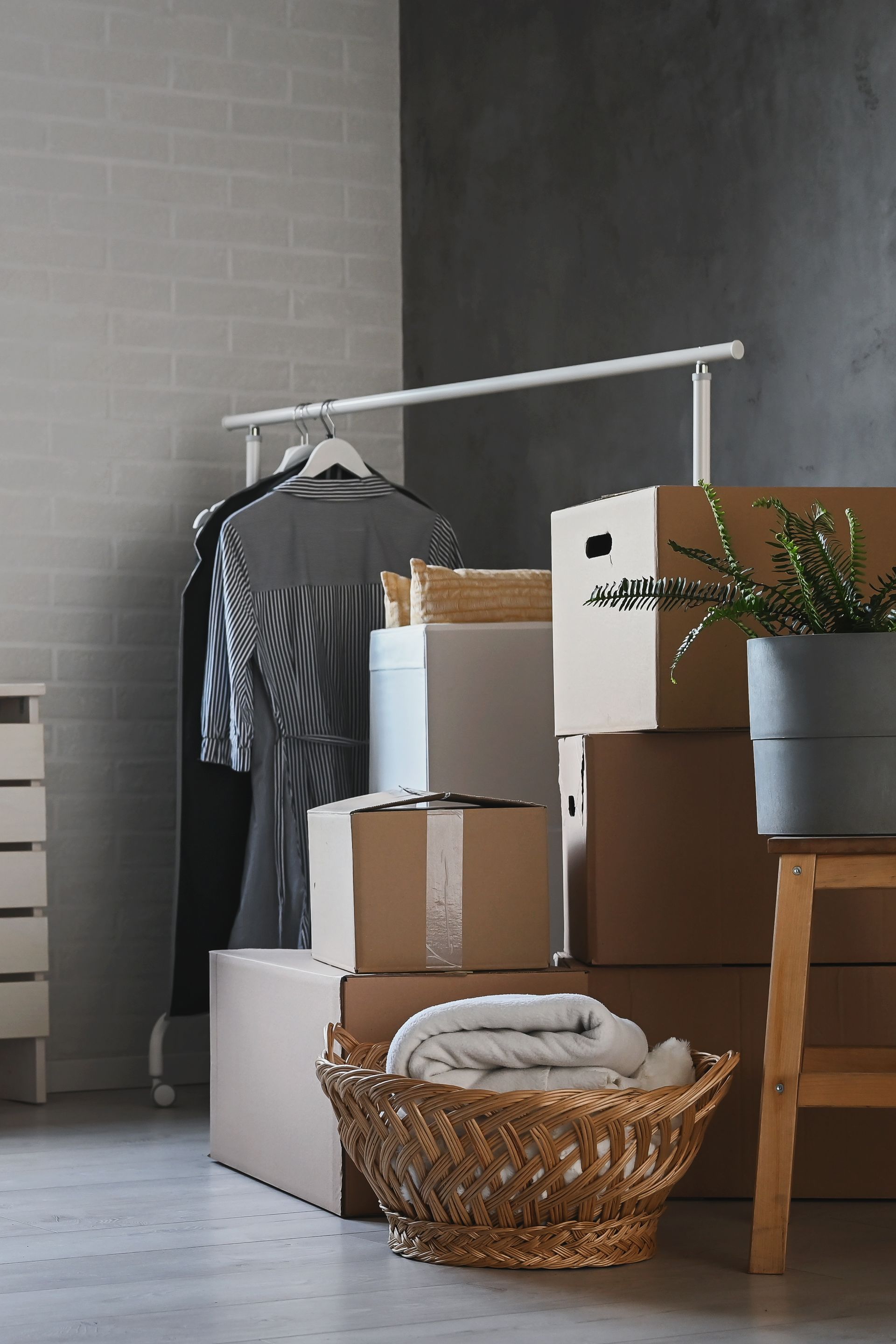 Cartons et plantes dans le coin d'une pièce