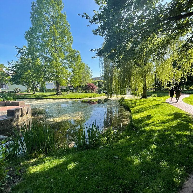 Zwei Personen gehen auf einem Weg in einem Park in der Nähe eines Teichs spazieren