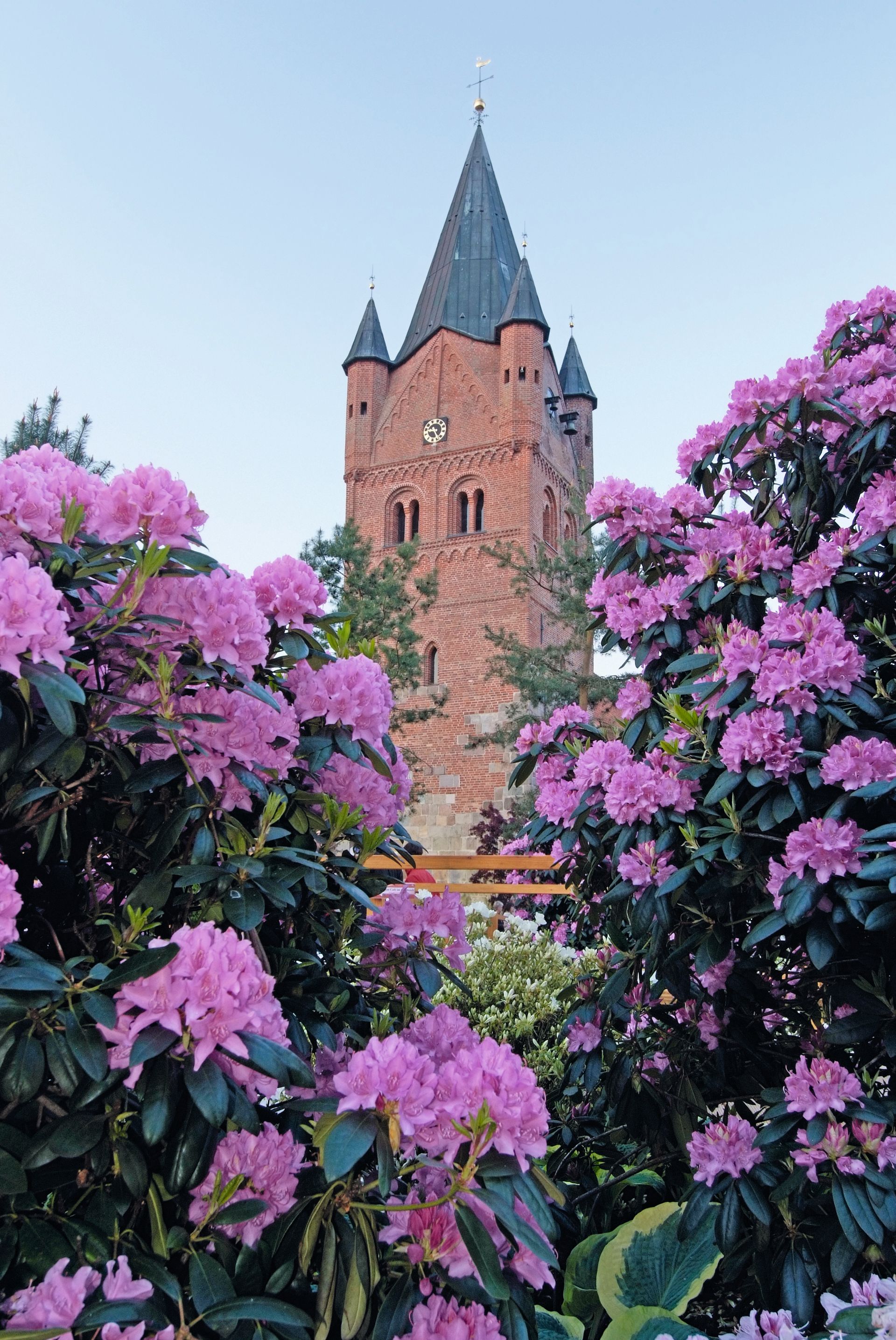 Ein Backsteingebäude mit einem Turm, umgeben von Rhododendron