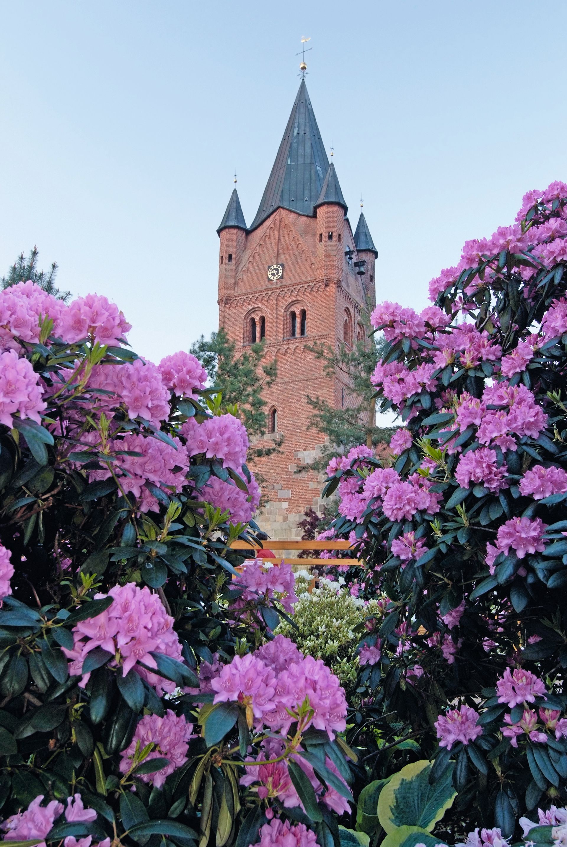 Ein Backsteingebäude mit einem Turm, umgeben von lila Blumen.
