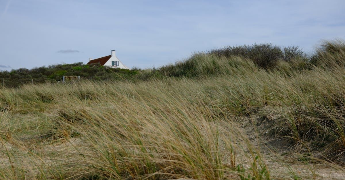 Ein Haus steht in den Dünen der Nordsee.