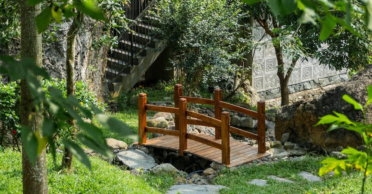 Eine kleine Holzbrücke, die über einen Bach führt.
