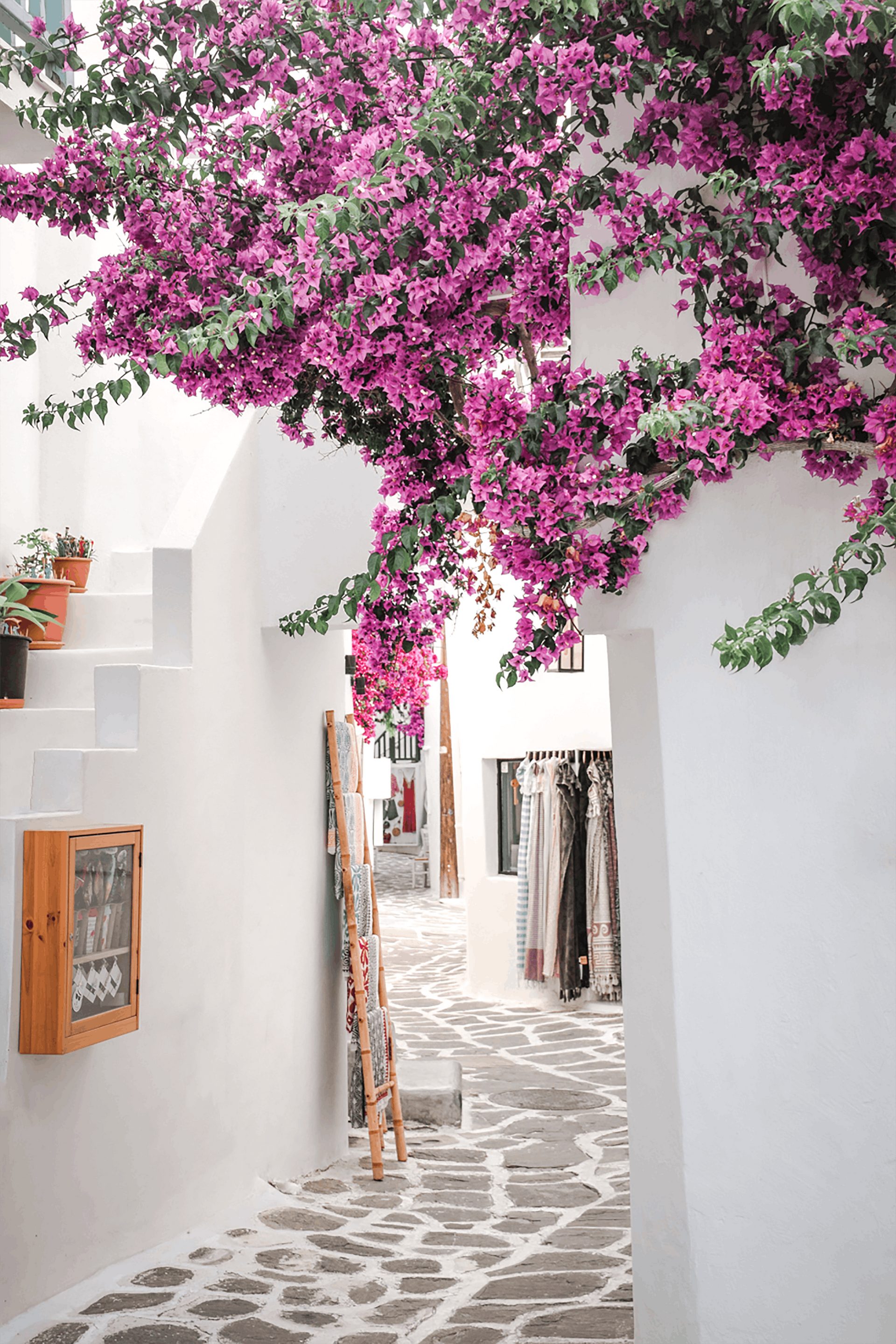 Schmale, kopfsteingepflasterte Gasse mit weißen Wänden, rosa Bougainvillea und hängenden Textilien.