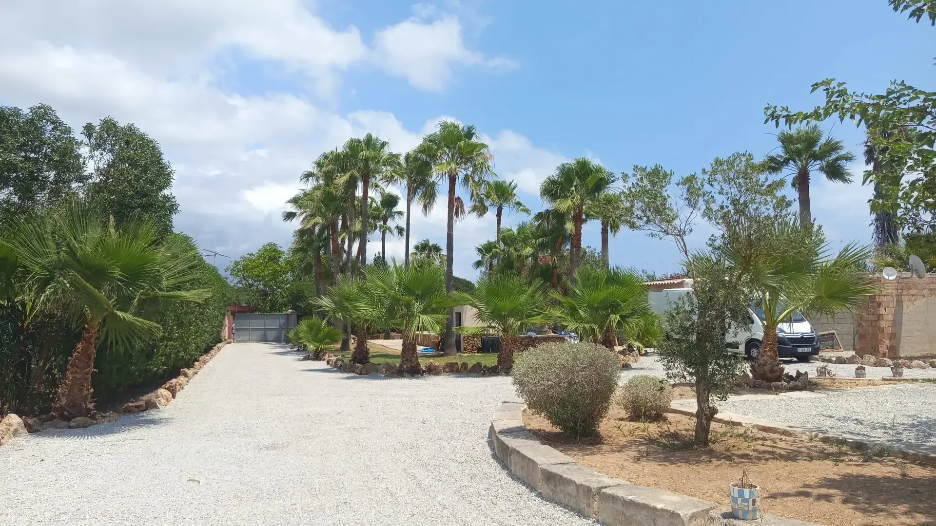 Patio de piedra blanca con palmeras y una pequeña zona ajardinada bañada por el sol.