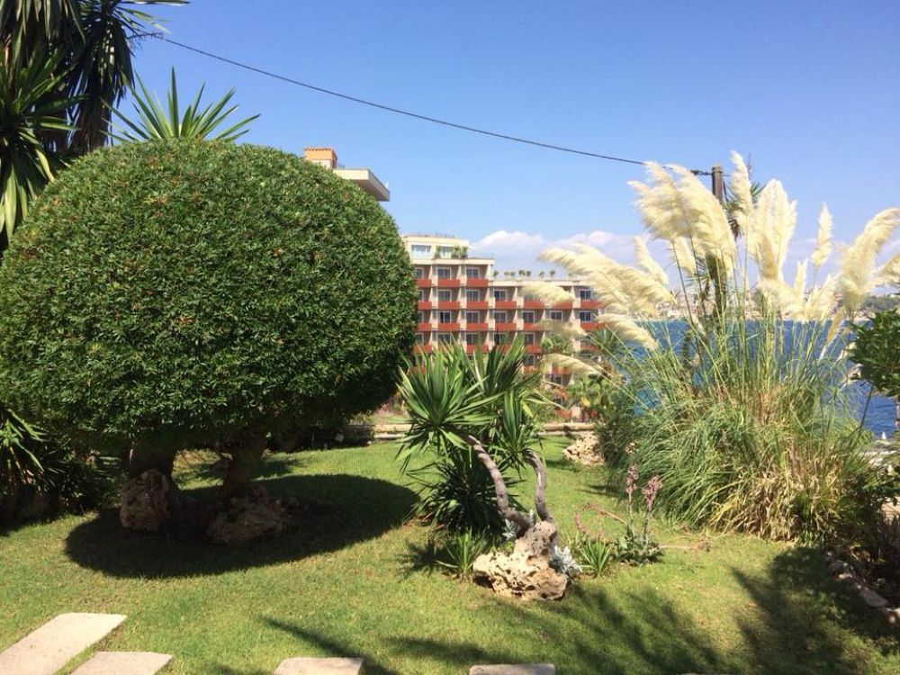 Un exuberante jardín verde con un edificio al fondo.