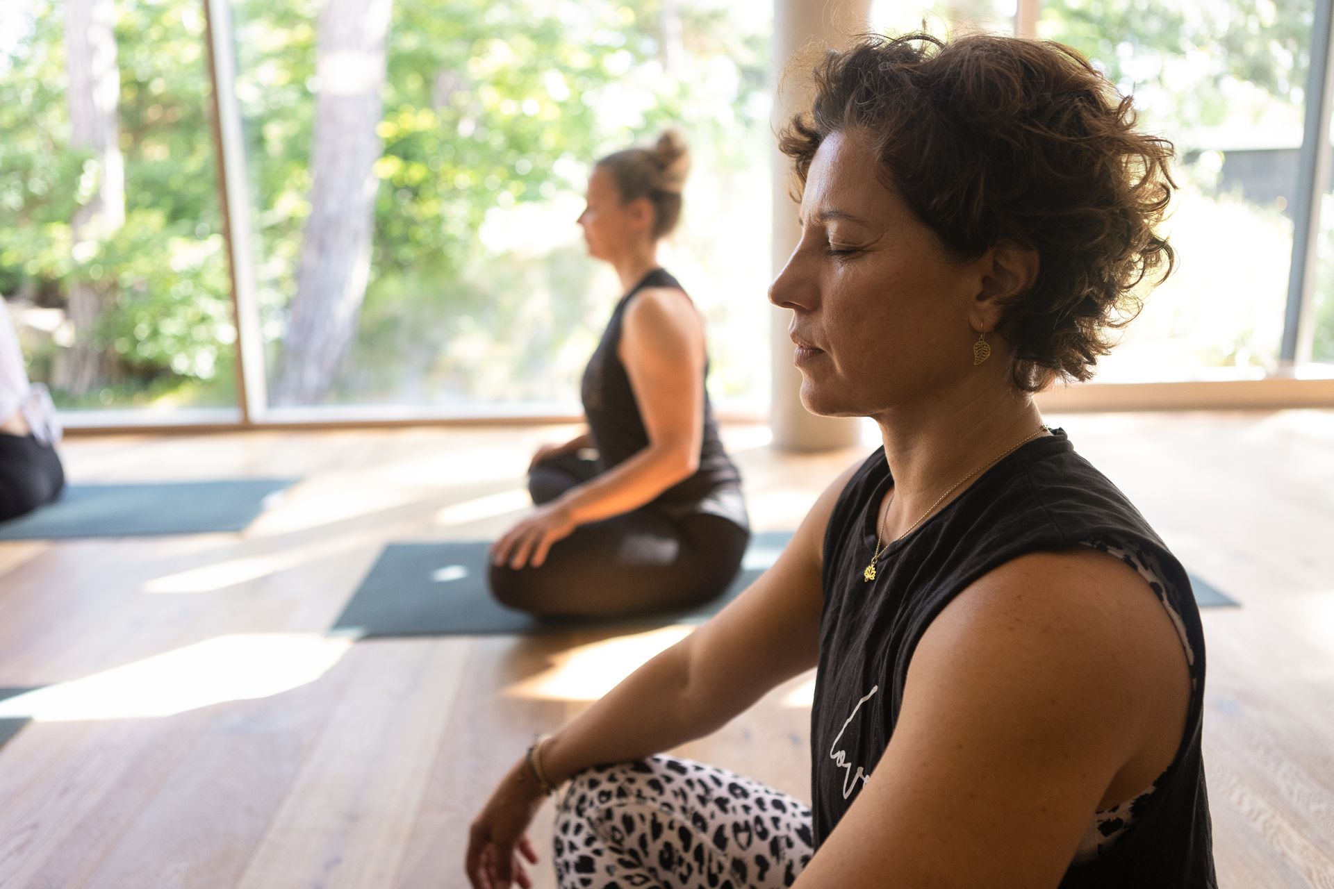 Meditation