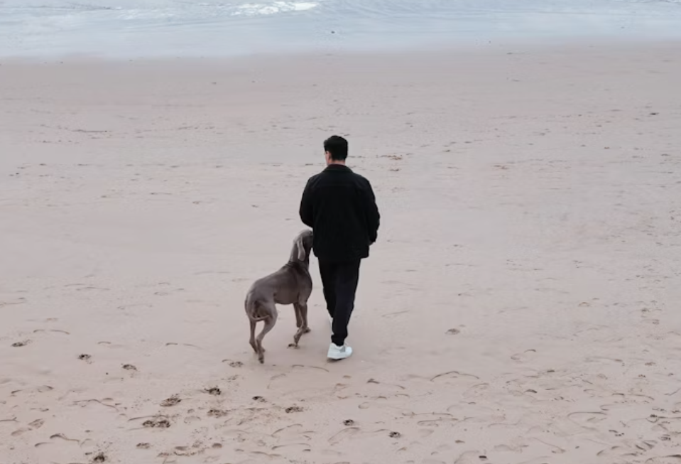 Mann geht mit Hund am Nordsee Strand spazieren