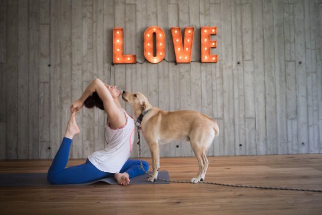 Dörte Kubatzki 1:1 Coaching