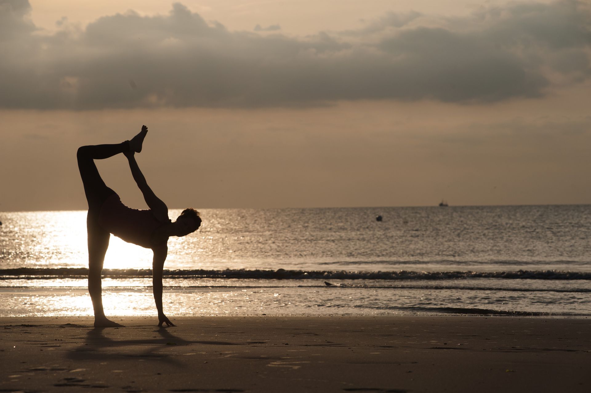 Reset and Rise mit Steffi Harrer