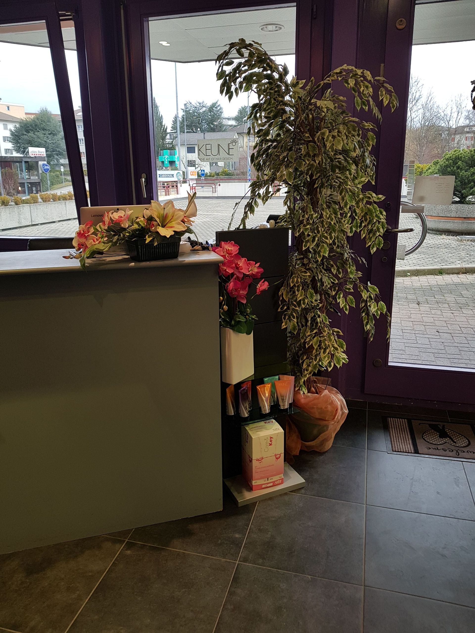 Imaginatif Coiffure à Marly - morphologie