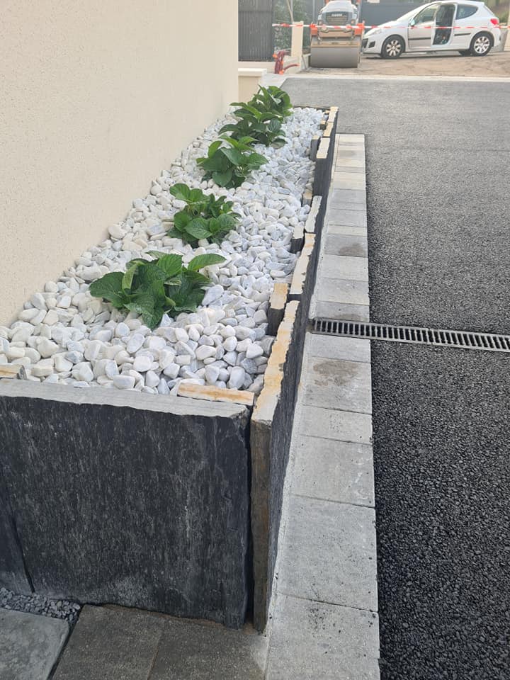 plantes dans gravier à côté d'allée