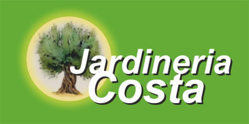 logotipo cabecera