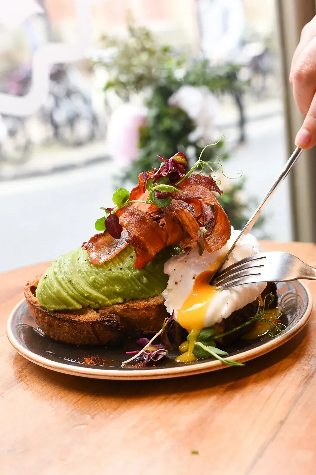 Avocado toast topped with bacon and a poached egg, being cut on a plate.