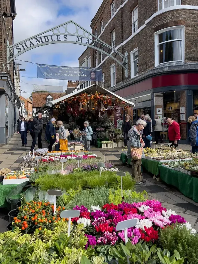 Shambles Market in York, UK. People browse colorful plants and flowers at outdoor stalls under a sign.