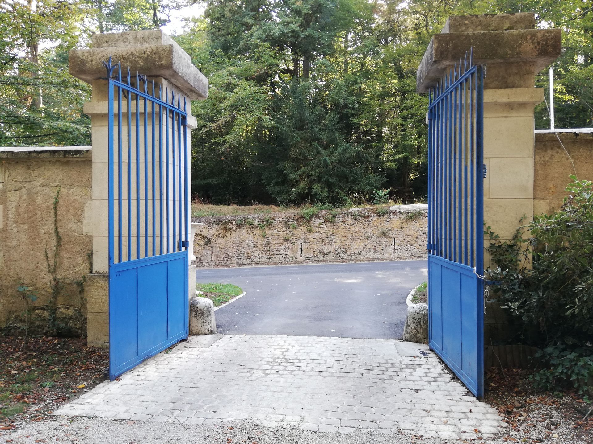 Portail bleu avec motorisation.