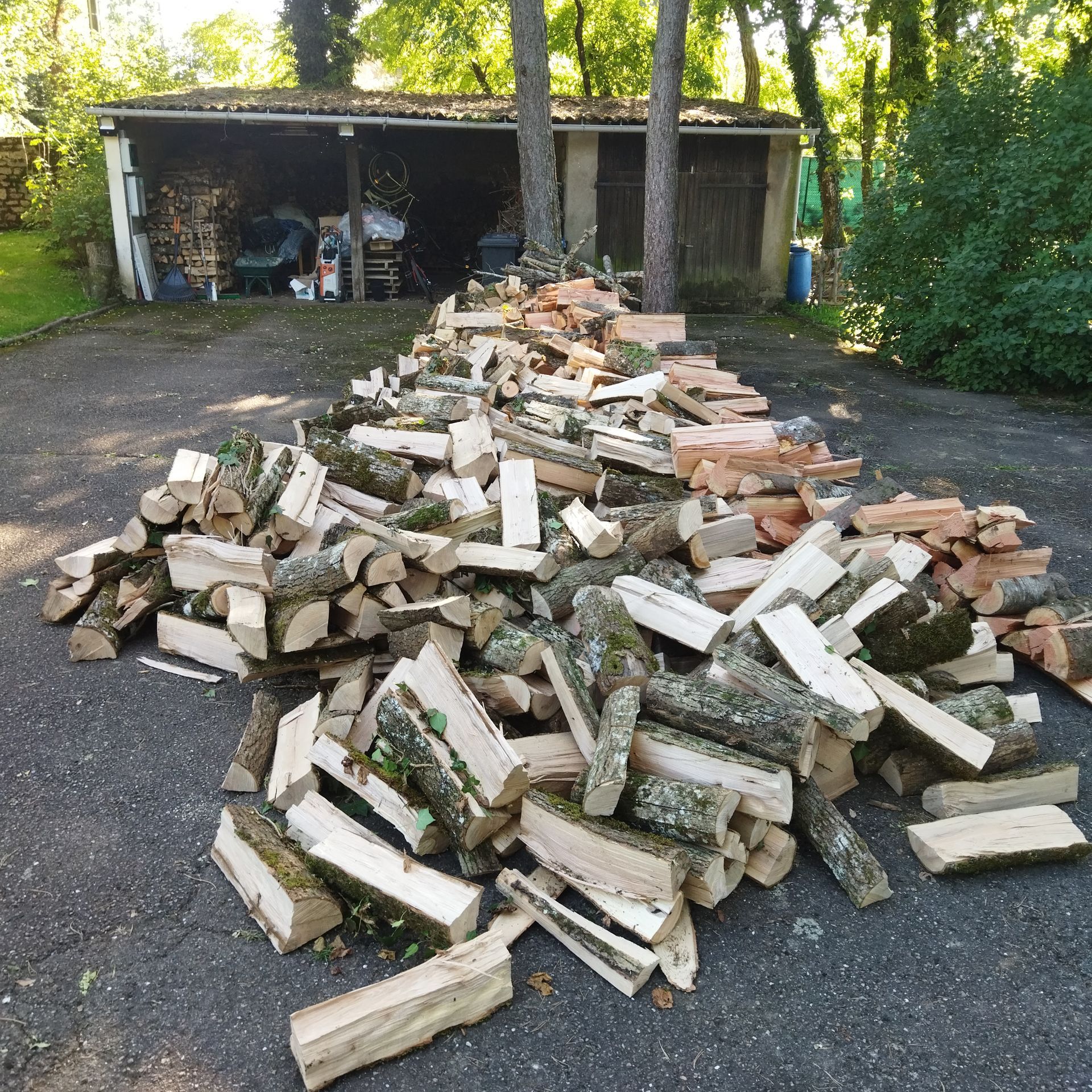 Un gros tas de bois de chauffage fendu sur une allée devant un abri à bois et des arbres