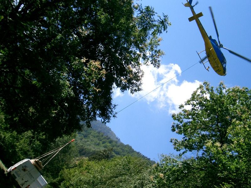 Kein Weg ist uns zu streng ... - M. Baumgartner Holzbau - Wuppenau