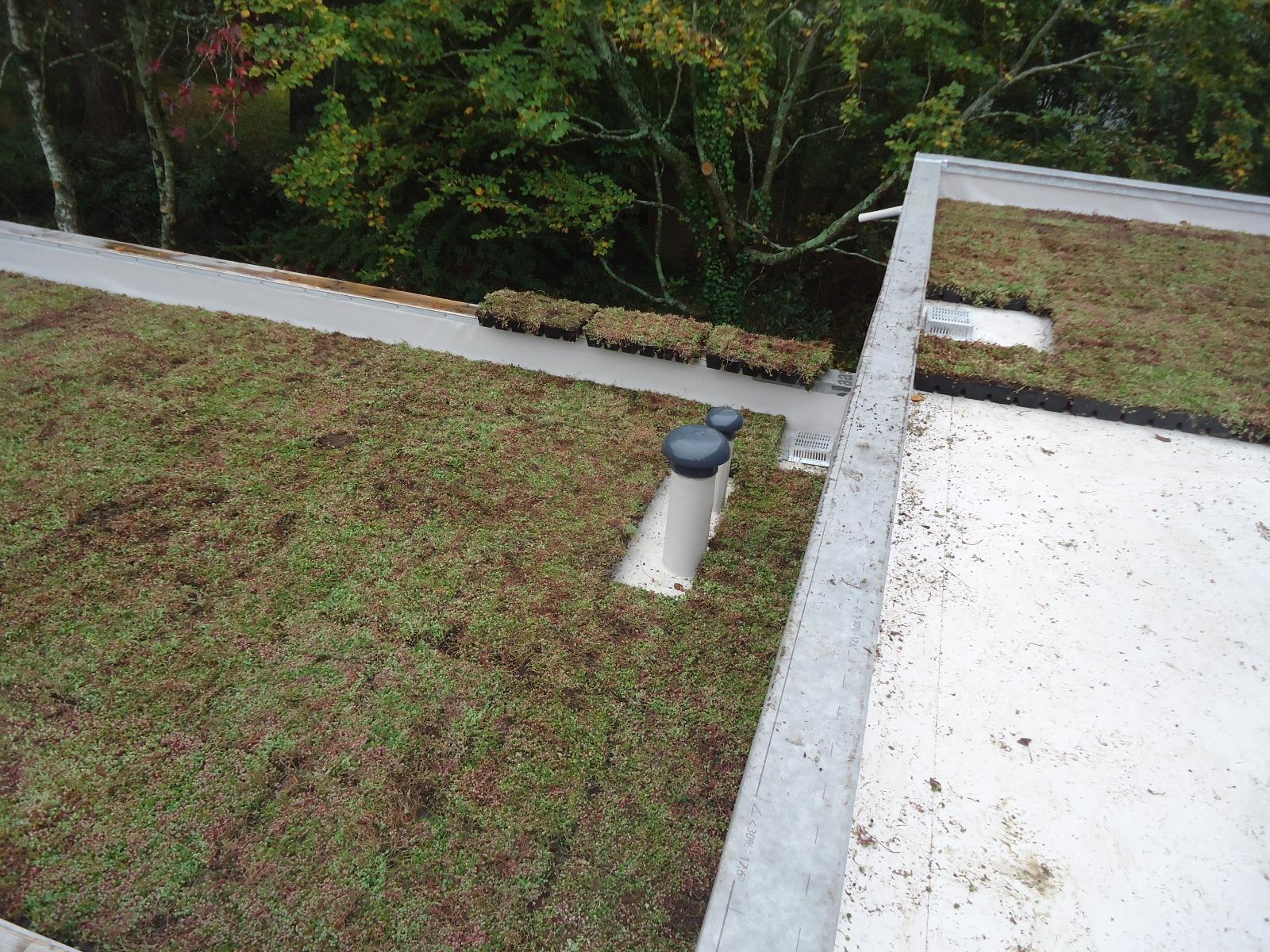 Guérande - Etanchéité toit terrasse isolé - Membrane FPO qualité environnementale - Végétalisation Sarnapack - Yohann Chazeaux MO à Pornic et Agence Kenenso architectes à Nantes