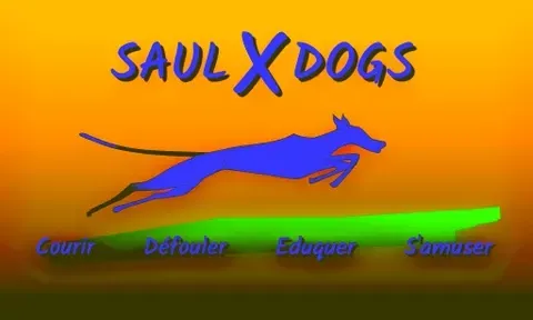 Logo SAULXDOGS