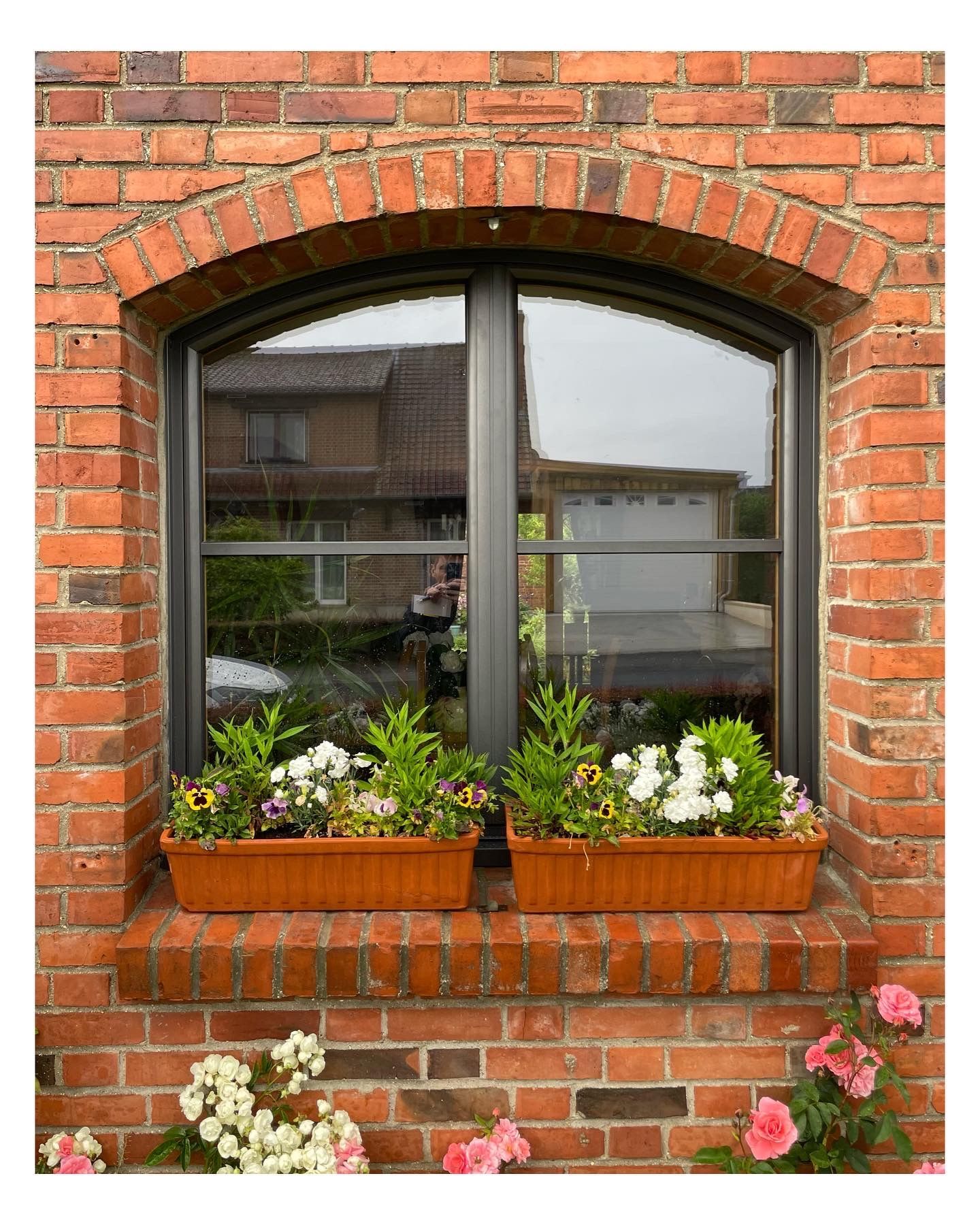 fenêtre mixte alu/bois