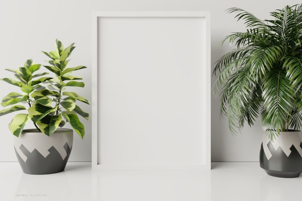 JK Fußbodenbau und Raumausstattung GmbH & Co. KG – 
zwei Zierpflanzen und ein Designelement auf einem Schrank oder Tisch
