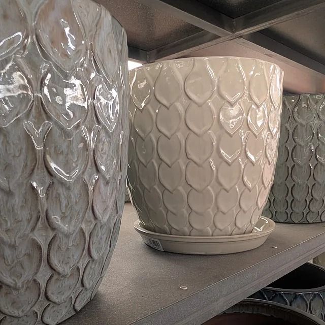 Un recipiente lleno de cactus y rocas sobre una mesa.